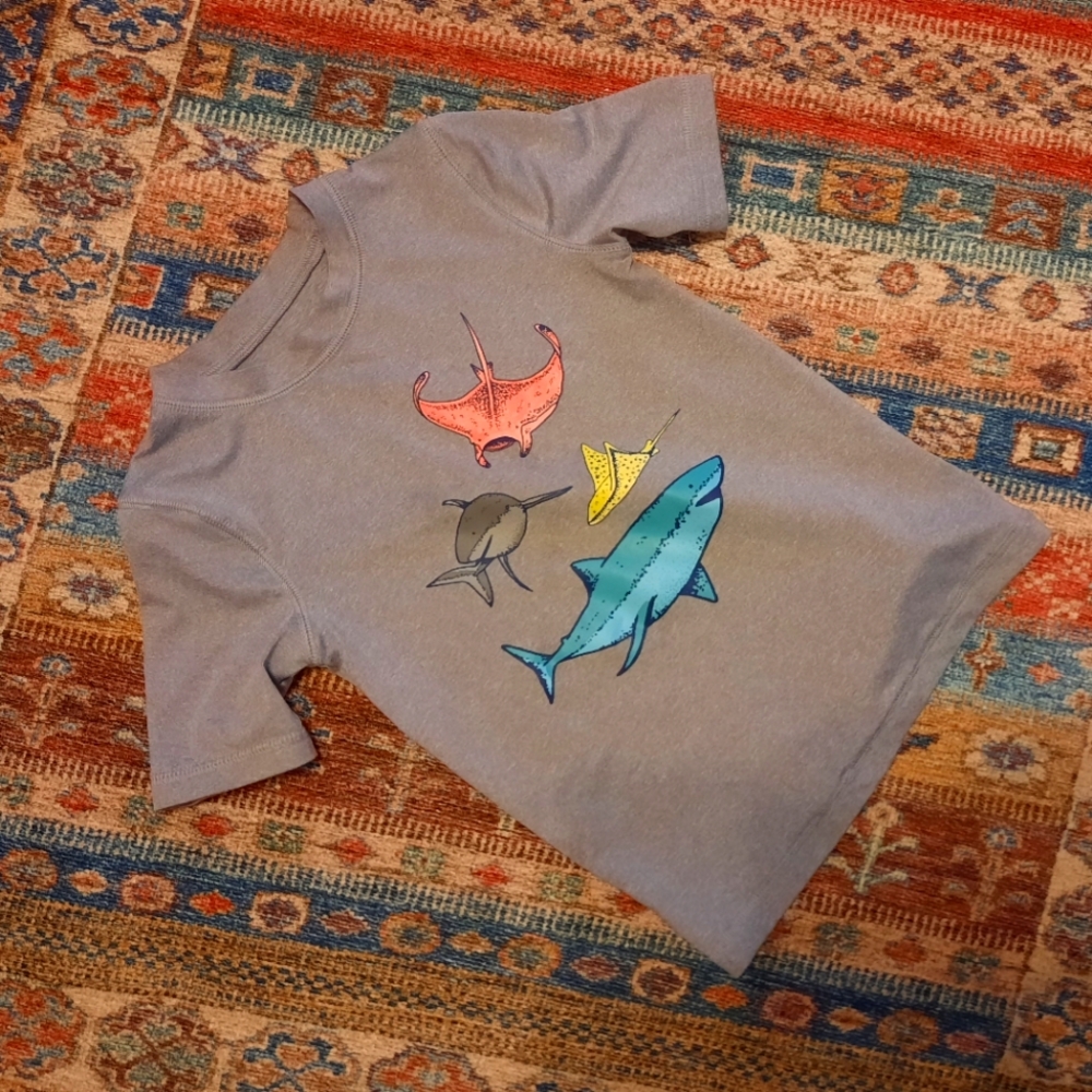 Cat&Jack t shirt 4t boys
